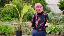 Episode 22 - Winter: Habitat Gardens & Plastic Free July Episode 22 - Winter: Habitat Gardens & Plastic Free July