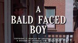 A Bald Faced Boy A Bald Faced Boy