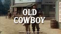 Old Cowboy Old Cowboy