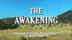 The Awakening The Awakening