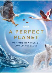 A Perfect Planet A Perfect Planet