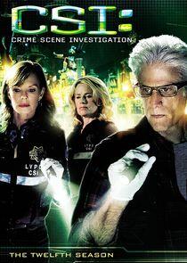 CSI: Crime Scene Investigation - Season 12 CSI: Crime Scene Investigation - Season 12