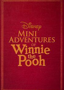 Mini Adventures of Winnie the Pooh Mini Adventures of Winnie the Pooh