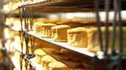 Cheese Cheese