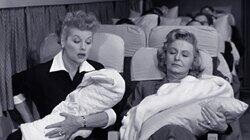 Return Home from Europe Return Home from Europe