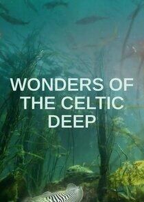 Wonders of the Celtic Deep Wonders of the Celtic Deep