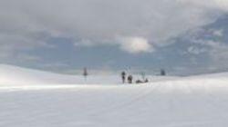 Furano, Hokkaido - White Wintry World Furano, Hokkaido - White Wintry World