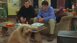 The Official Dharma & Greg Episode of the 1998 Winter Olympics The Official Dharma & Greg Episode of the 1998 Winter Olympics