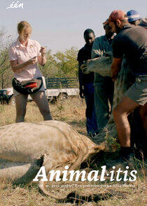 Animalitis Animalitis