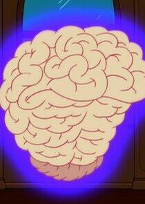 The Big Brain The Big Brain