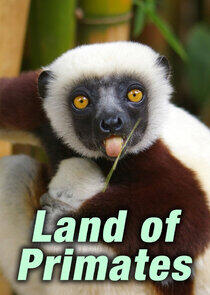 Land of Primates Land of Primates