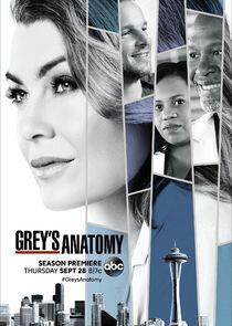 Grey's Anatomy - Season 14 Grey's Anatomy - Season 14