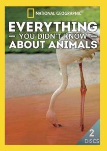 Everything You Didn't Know About Animals Everything You Didn't Know About Animals
