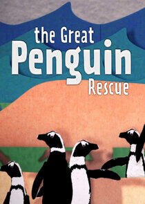 The Great Penguin Rescue The Great Penguin Rescue