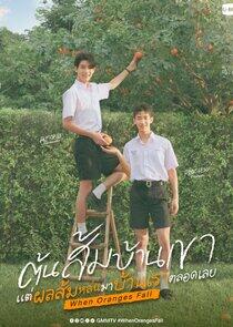 When Oranges Fall When Oranges Fall