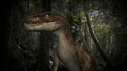Florida Dinosaur and More Florida Dinosaur and More