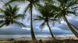 Oceans Oceans