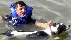 East River Dog Rescue and More East River Dog Rescue and More