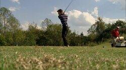 A Birthday and A Birdie A Birthday and A Birdie