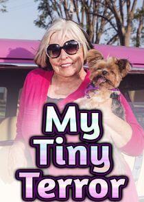 My Tiny Terror My Tiny Terror