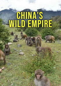 China's Wild Empire China's Wild Empire