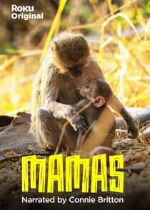 Mamas Mamas