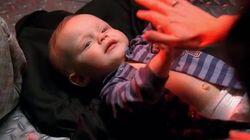 The Baby in the Bough The Baby in the Bough