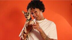 Dogs of Grime: Chey Dogs of Grime: Chey