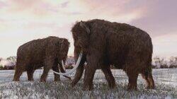 Wooly Mammoth Sighting, Ohio Bigfoot Howl and Killer Robot Wooly Mammoth Sighting, Ohio Bigfoot Howl and Killer Robot