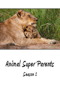 Animal Super Parents - Season 1