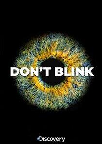 Don't Blink Don't Blink