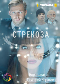 Стрекоза Стрекоза