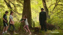 How to Stay Alive in the Woods How to Stay Alive in the Woods