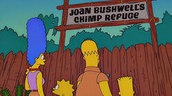Simpsons Safari Simpsons Safari