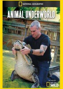 Animal Underworld - Season 1 Animal Underworld - Season 1