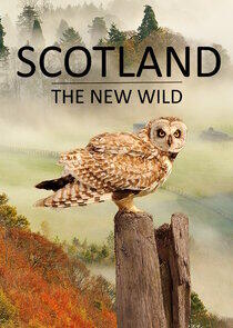 Scotland - The New Wild Scotland - The New Wild