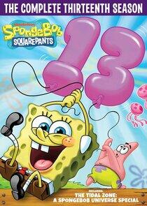 SpongeBob SquarePants - Season 13 SpongeBob SquarePants - Season 13