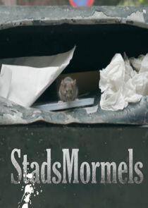 Stadsmormels Stadsmormels