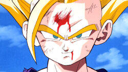 Cell's Break Down