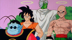 Vegeta has a Ball Vegeta has a Ball