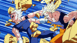 The Long Awaited Fight The Long Awaited Fight