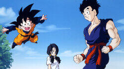 Take Flight, Videl Take Flight, Videl