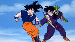 Z Warriors Prepare Z Warriors Prepare