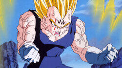 Magic Ball of Buu Magic Ball of Buu