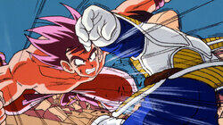 Saiyan Sized Secret Saiyan Sized Secret