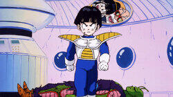 Namek's Destruction Namek's Destruction