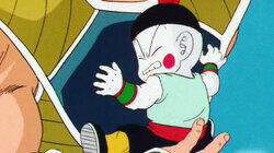 The Power of Nappa The Power of Nappa