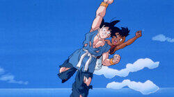 Goku's Next Journey
