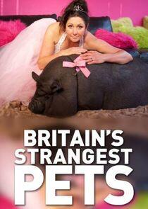 Britain's Strangest Pets Britain's Strangest Pets