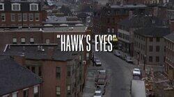 Hawk's Eyes Hawk's Eyes